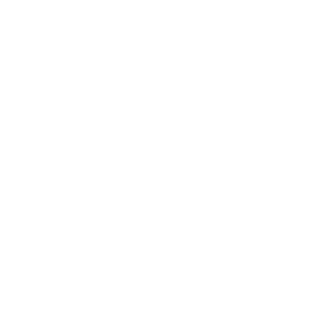litespeed.png