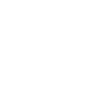 wordpress.png
